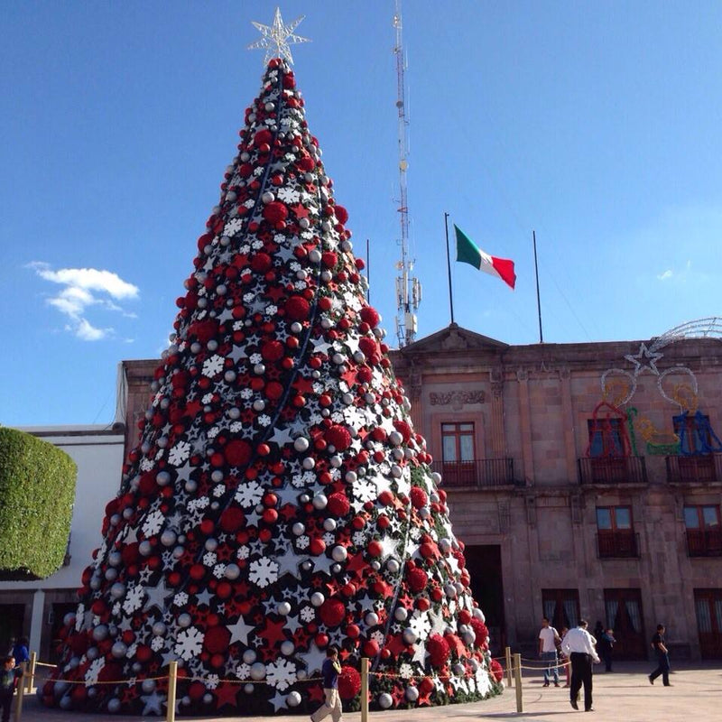 Majestuoso árbol de 10metros