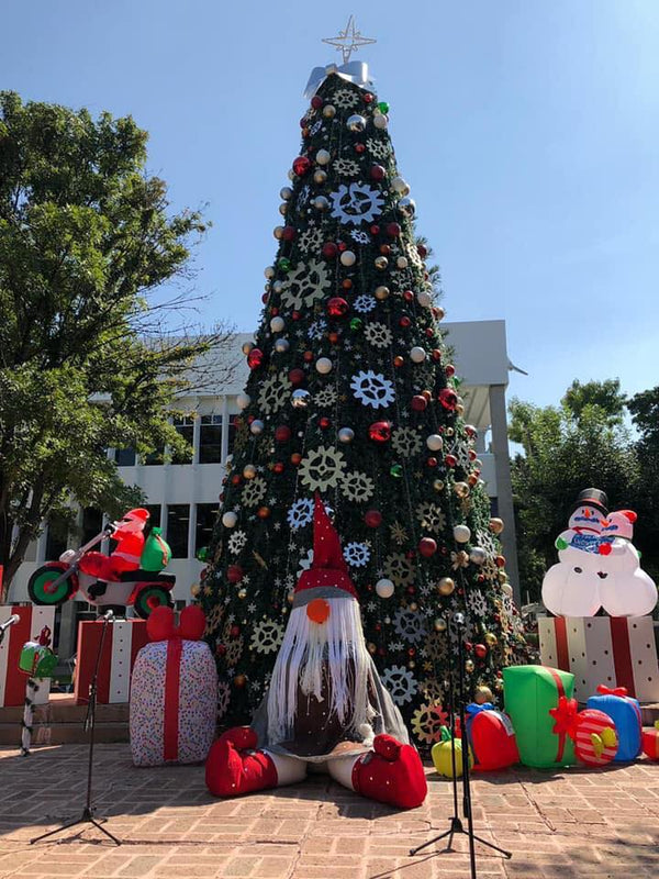 Majestuoso árbol de 10metros