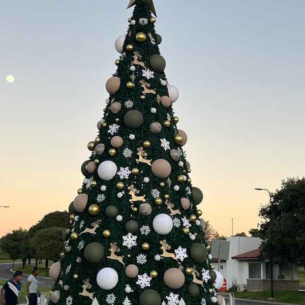 Majestuoso árbol de 10metros